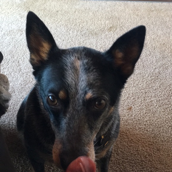 Meet your Posher, Kristin - Picture 1 of 1